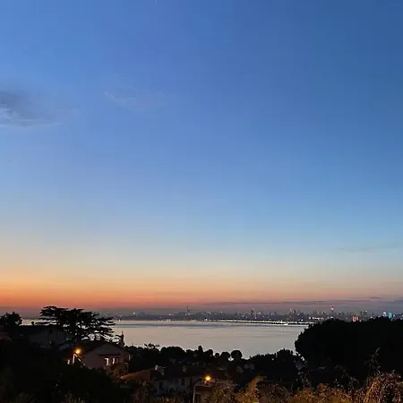 酒店 Elisa Butik 王子岛群