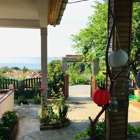 Hotell Elisa Butik Adalar