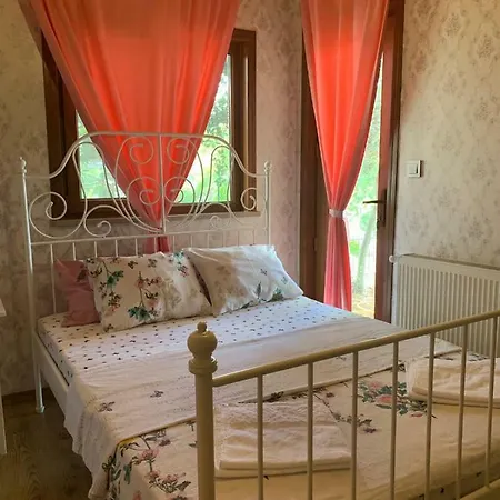 Hotel Elisa Butik Adalar