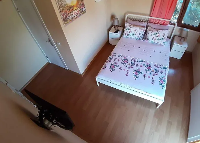 ホテル Elisa Butik アダラー