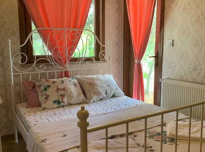 ホテル Elisa Butik アダラー